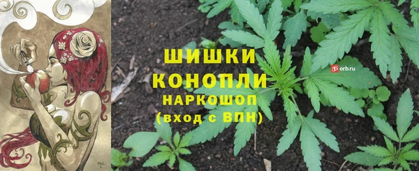 гидропоника Осинники