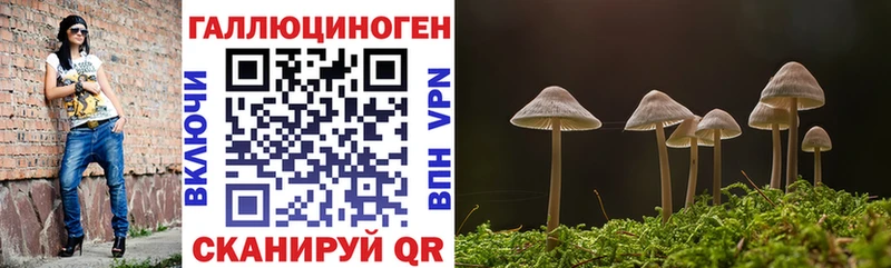 Купить закладки  Горнозаводск  Галлюциногенные грибы мухоморы 